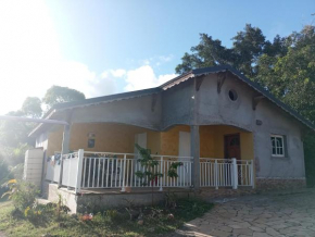 Zoranj Delair